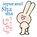 Shasha in Romanian