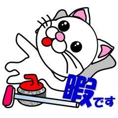 A white cat which plays curling