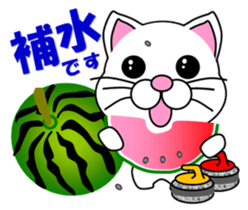 A white cat which plays curling sticker #14997574