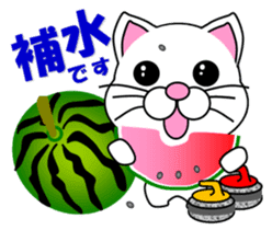 A white cat which plays curling sticker #14997574