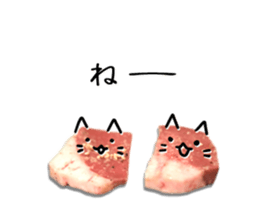 organ cats sticker #14998439