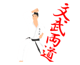 Karate animation sticker. sticker #14999128