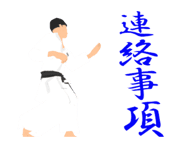 Karate animation sticker. sticker #14999129