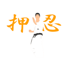 Karate animation sticker. sticker #14999132