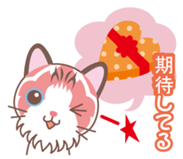 Valentine. Ragdoll of a blue eye sticker #14999776