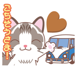 Valentine. Ragdoll of a blue eye sticker #14999777