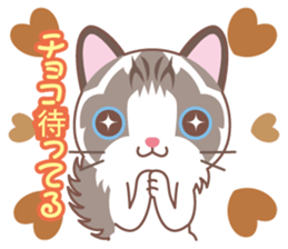 Valentine. Ragdoll of a blue eye sticker #14999778