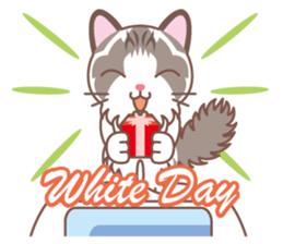 Valentine. Ragdoll of a blue eye sticker #14999782