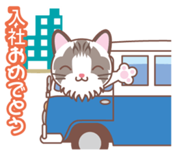 Valentine. Ragdoll of a blue eye sticker #14999795