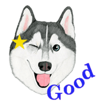 husky motion sticker sticker #14999854