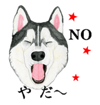 husky motion sticker sticker #14999856