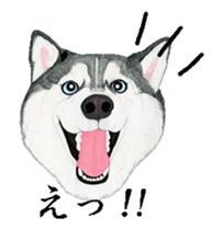 husky motion sticker sticker #14999857