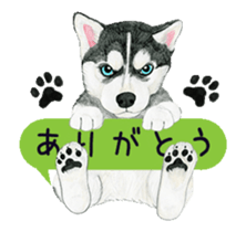 husky motion sticker sticker #14999858