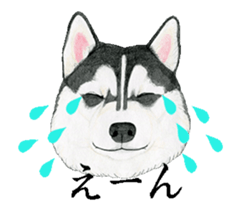 husky motion sticker sticker #14999861