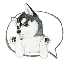 husky motion sticker sticker #14999863