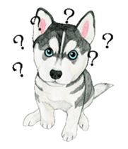 husky motion sticker sticker #14999865