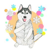 husky motion sticker sticker #14999866