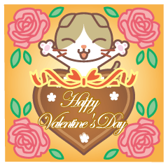 valentine. Round facial Scottish Fold