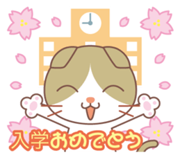 valentine. Round facial Scottish Fold sticker #14999922