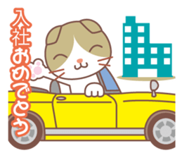 valentine. Round facial Scottish Fold sticker #14999923