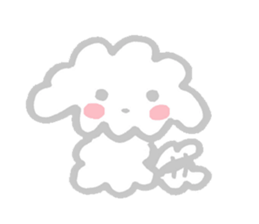 My Maltese dog named Kuun-chan sticker #15000654