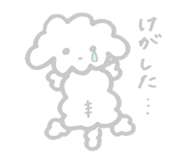 My Maltese dog named Kuun-chan sticker #15000672