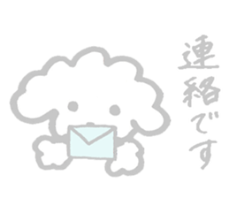 My Maltese dog named Kuun-chan sticker #15000690