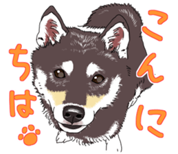Everyone's Shiba stamp 2 sticker #15002679