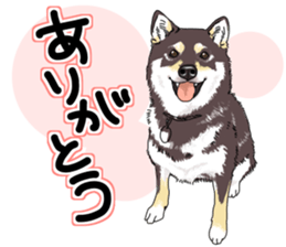 Everyone's Shiba stamp 2 sticker #15002680