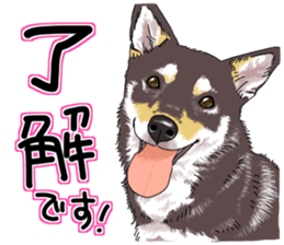 Everyone's Shiba stamp 2 sticker #15002682