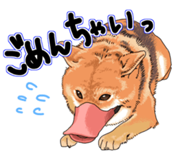 Everyone's Shiba stamp 2 sticker #15002685