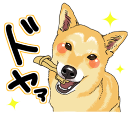 Everyone's Shiba stamp 2 sticker #15002695