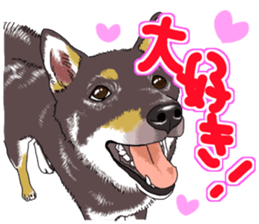 Everyone's Shiba stamp 2 sticker #15002696
