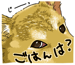 Everyone's Shiba stamp 2 sticker #15002697