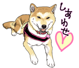 Everyone's Shiba stamp 2 sticker #15002698