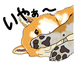 Everyone's Shiba stamp 2 sticker #15002701