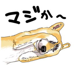 Everyone's Shiba stamp 2 sticker #15002702