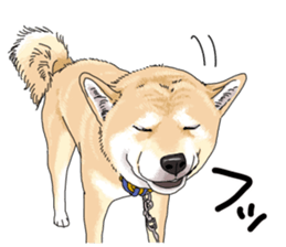 Everyone's Shiba stamp 2 sticker #15002703