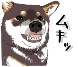 Everyone's Shiba stamp 2 sticker #15002704