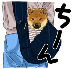 Everyone's Shiba stamp 2 sticker #15002709