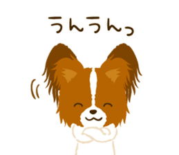 Papillon<Dog breed> sticker #15002830