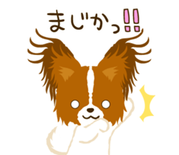 Papillon<Dog breed> sticker #15002844