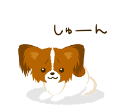 Papillon<Dog breed> sticker #15002845