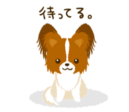Papillon<Dog breed> sticker #15002852