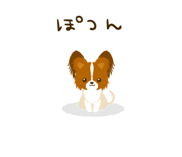 Papillon<Dog breed> sticker #15002853