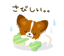 Papillon<Dog breed> sticker #15002854