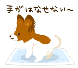 Papillon<Dog breed> sticker #15002856