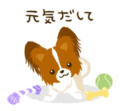 Papillon<Dog breed> sticker #15002857