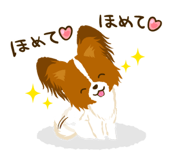 Papillon<Dog breed> sticker #15002859