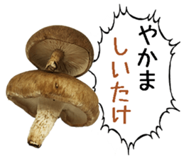Shiitake. sticker #15003366